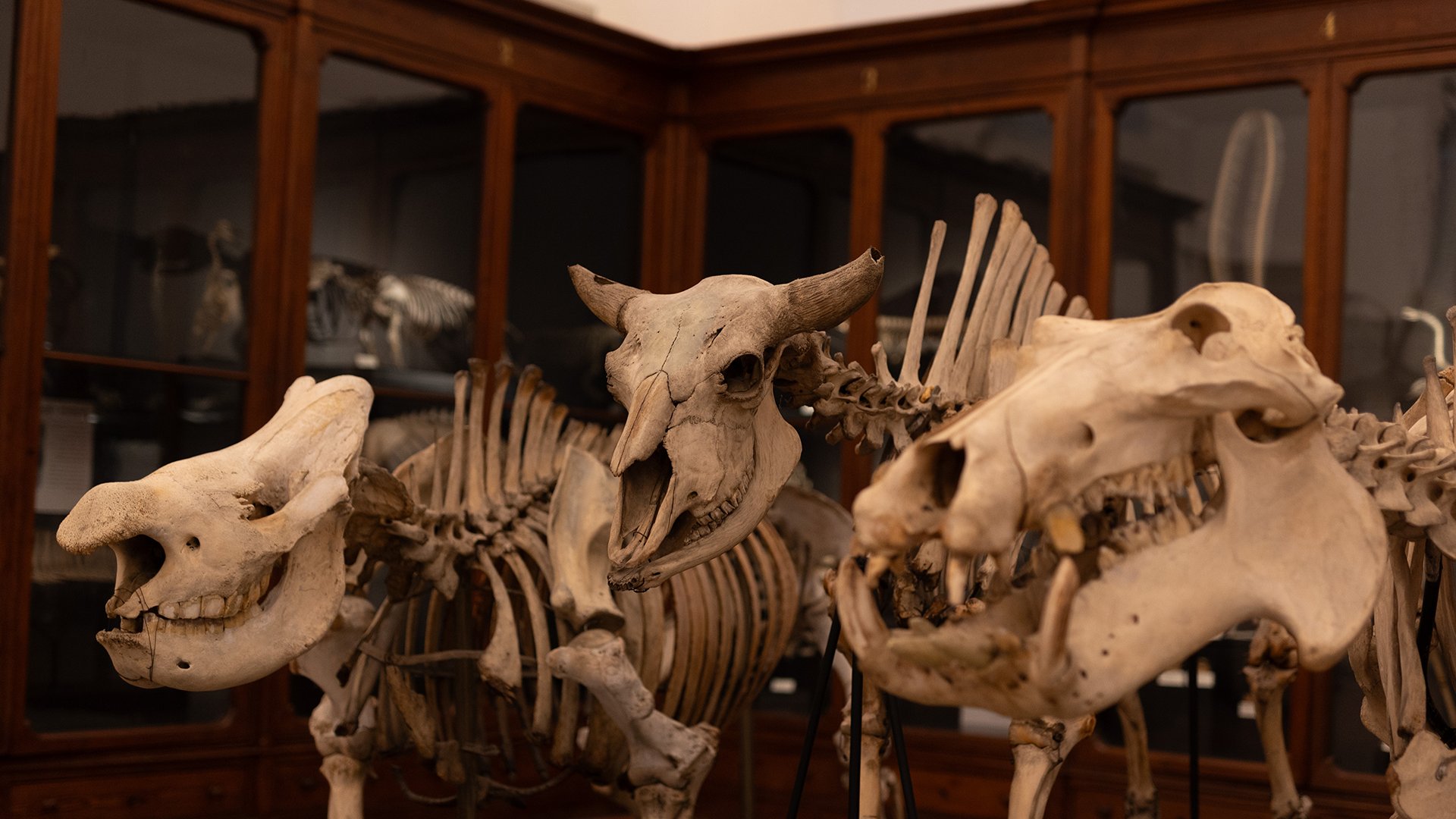 01_02_2026 - Visita guidata - MRSN