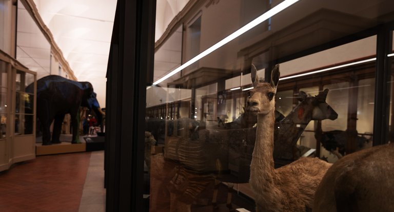 02_05_2026 - Visita guidata - MRSN