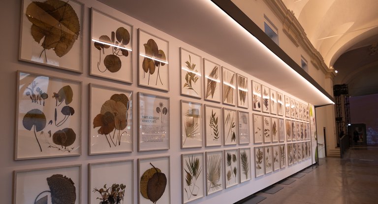 03_05_2026 - Visita guidata - MRSN