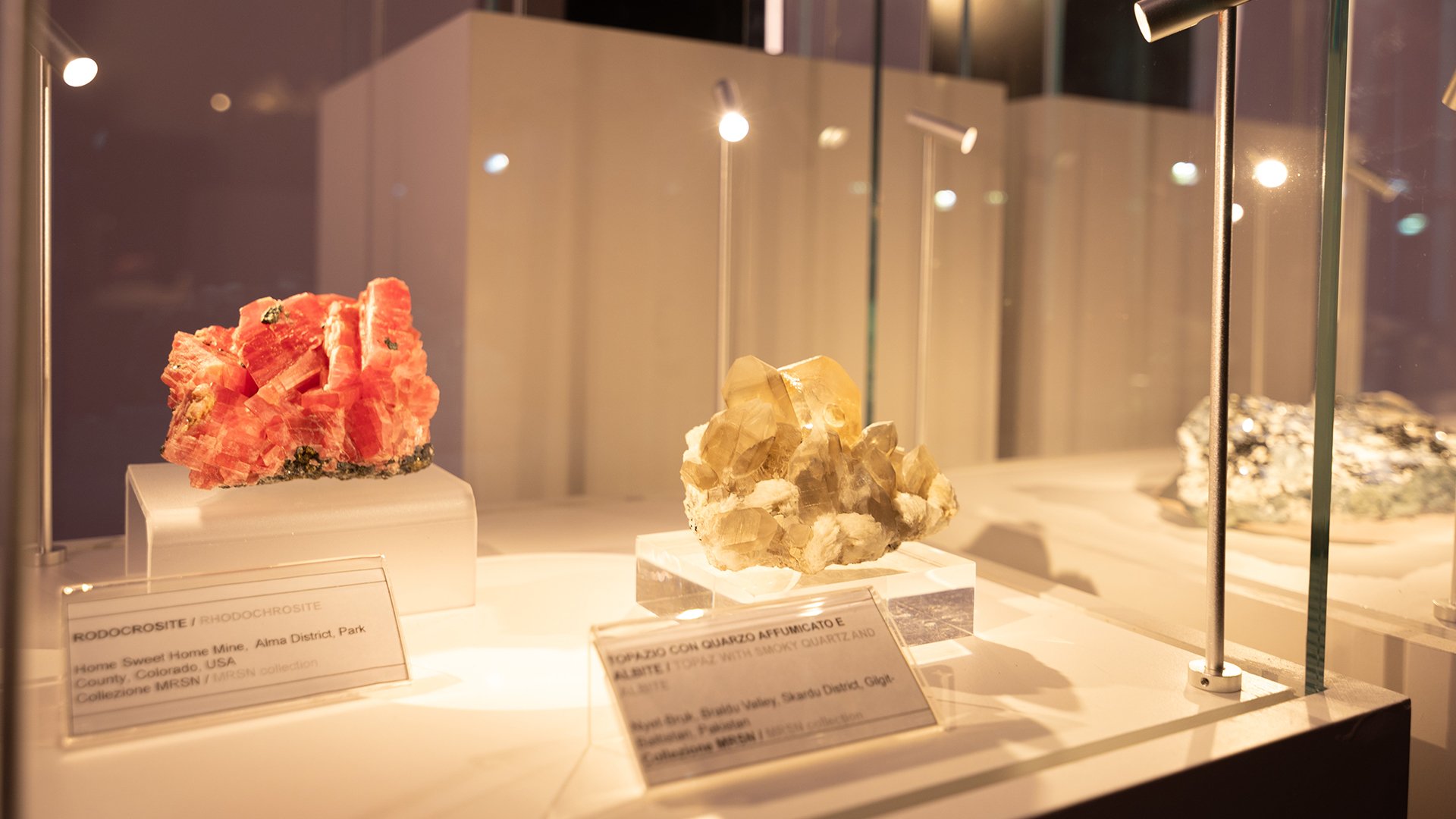 05_04_2026 - Visita guidata - MRSN