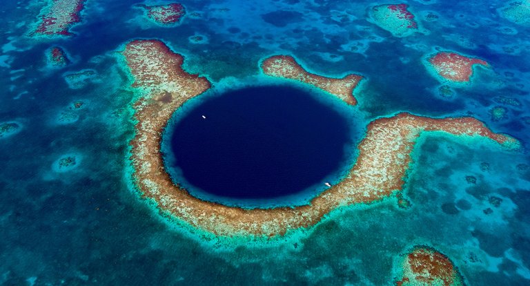 05_05_2026 - Diversità in un mondo diverso - MRSN