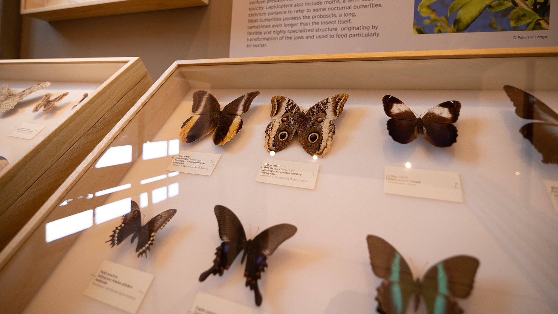 06_04_2026 - Visita guidata - MRSN