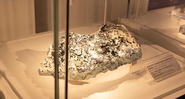 09_05_2026 - Visita guidata - MRSN