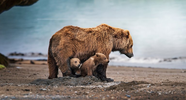 10_05_2026 - Una mamma bestiale - MRSN
