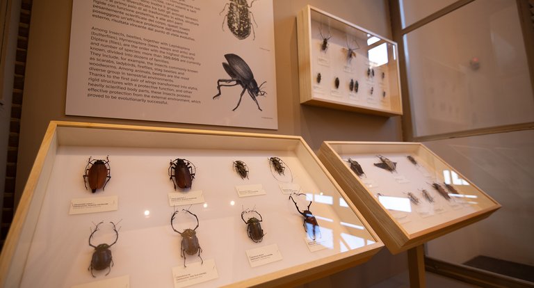 10_05_2026 - Visita guidata - MRSN