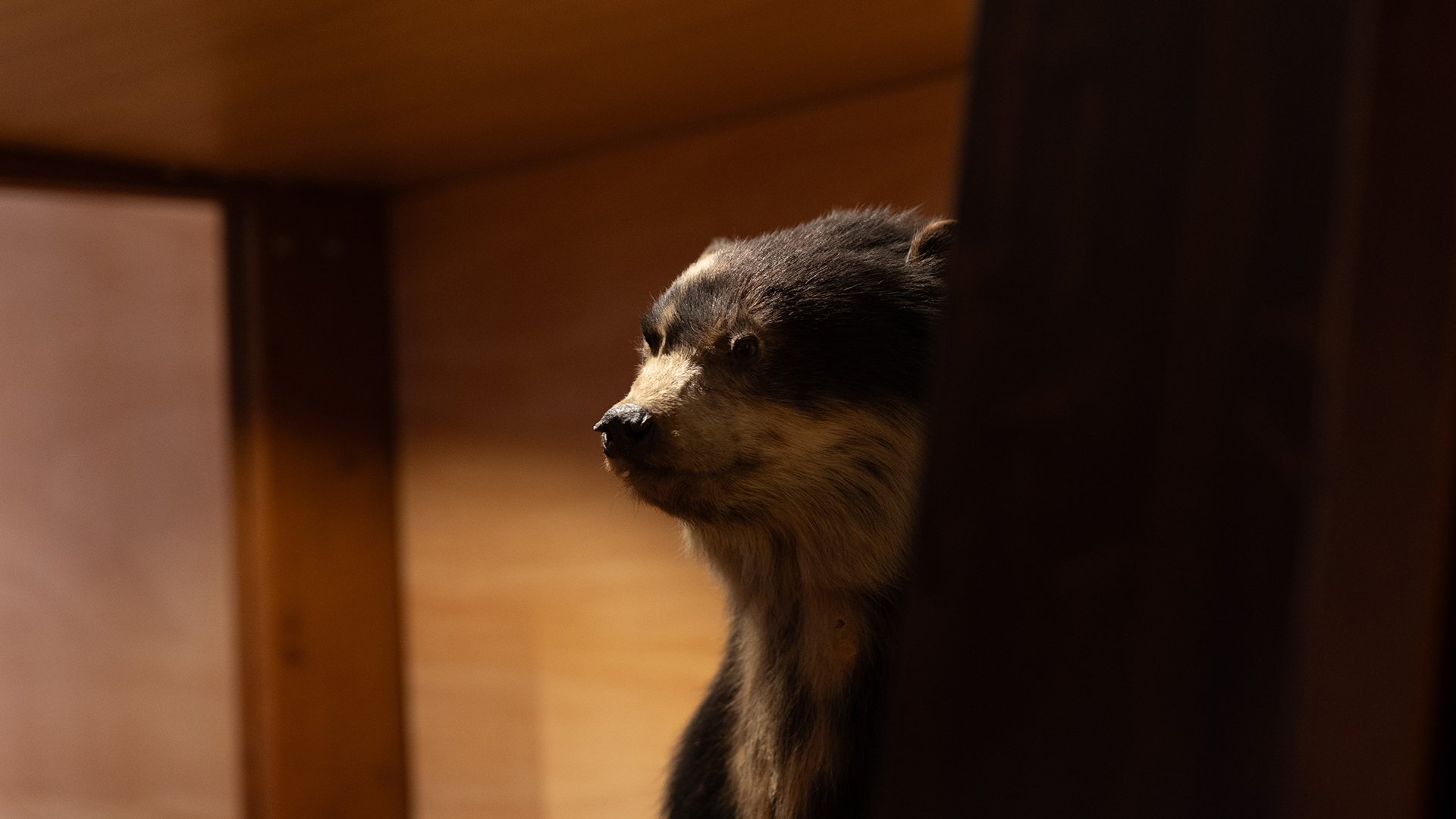 14_03_2026 - Visita guidata - MRSN