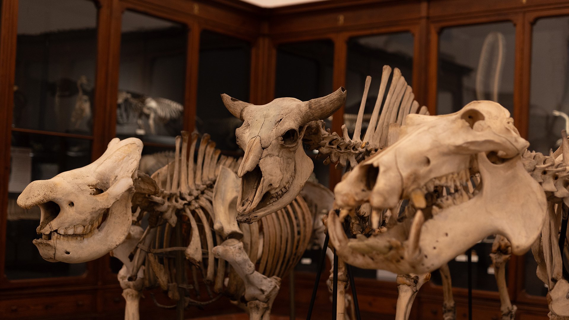 15_03_2026 - Visita guidata - MRSN