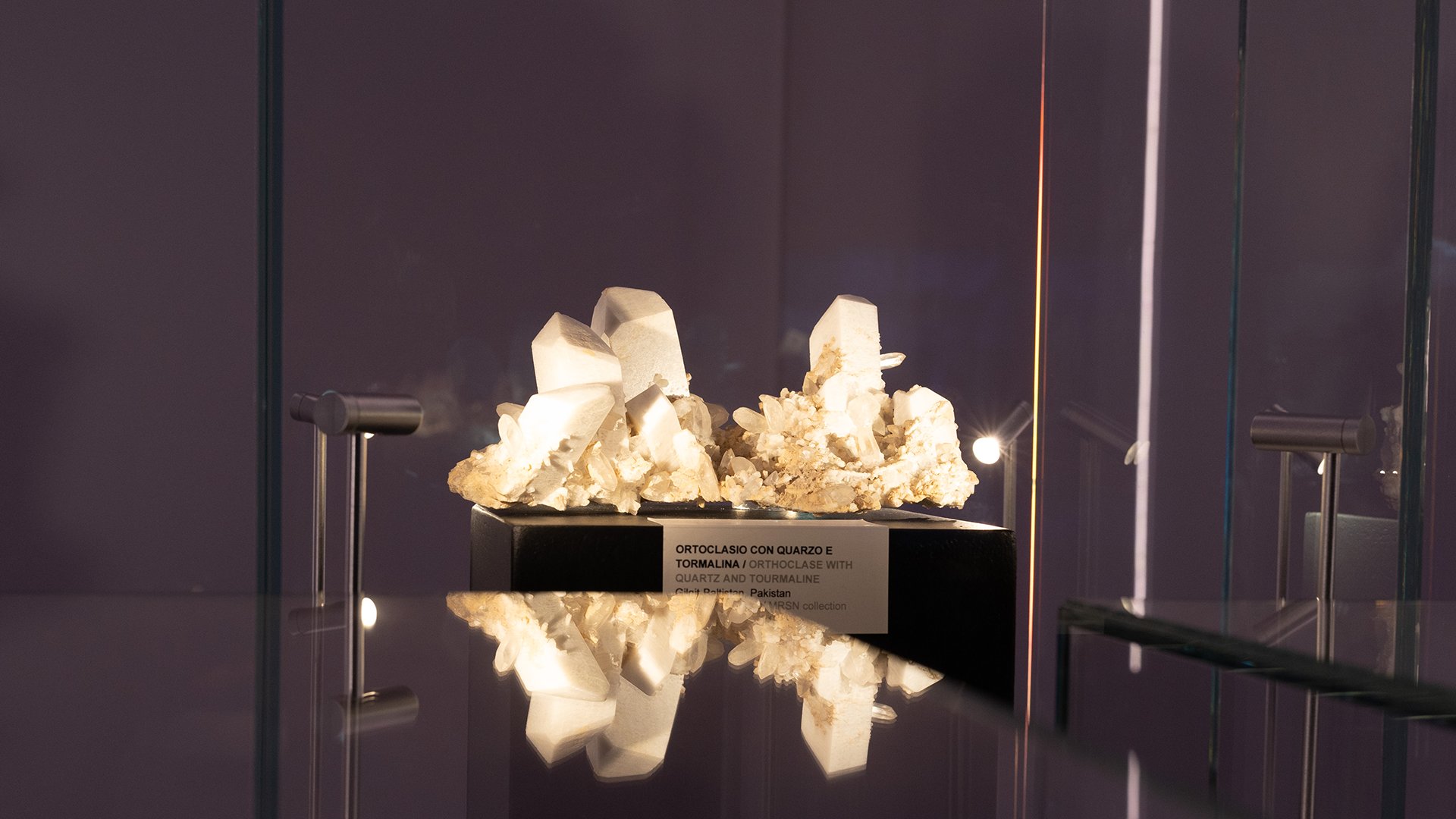 18_01_2025 - Visita guidata - MRSN