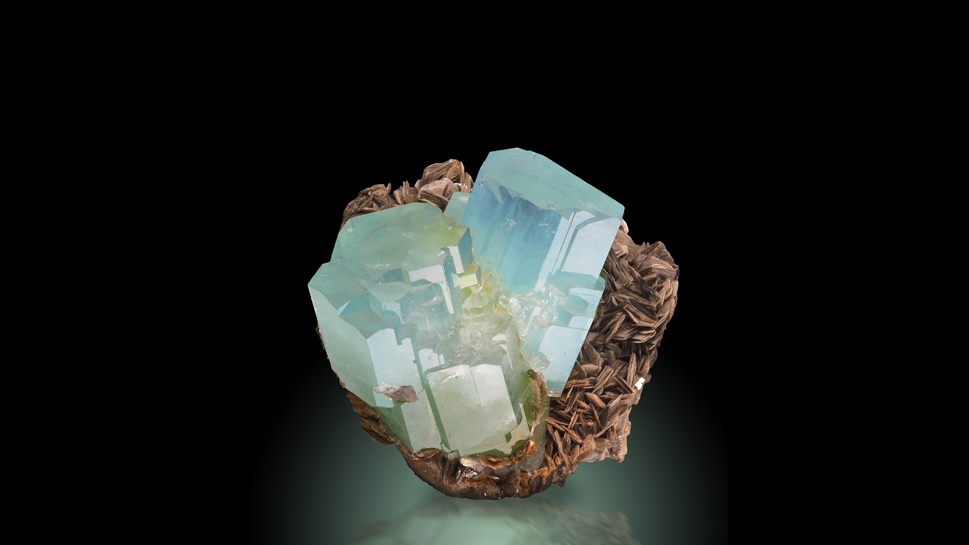 22_02_2026 - Visita guidata - MRSN