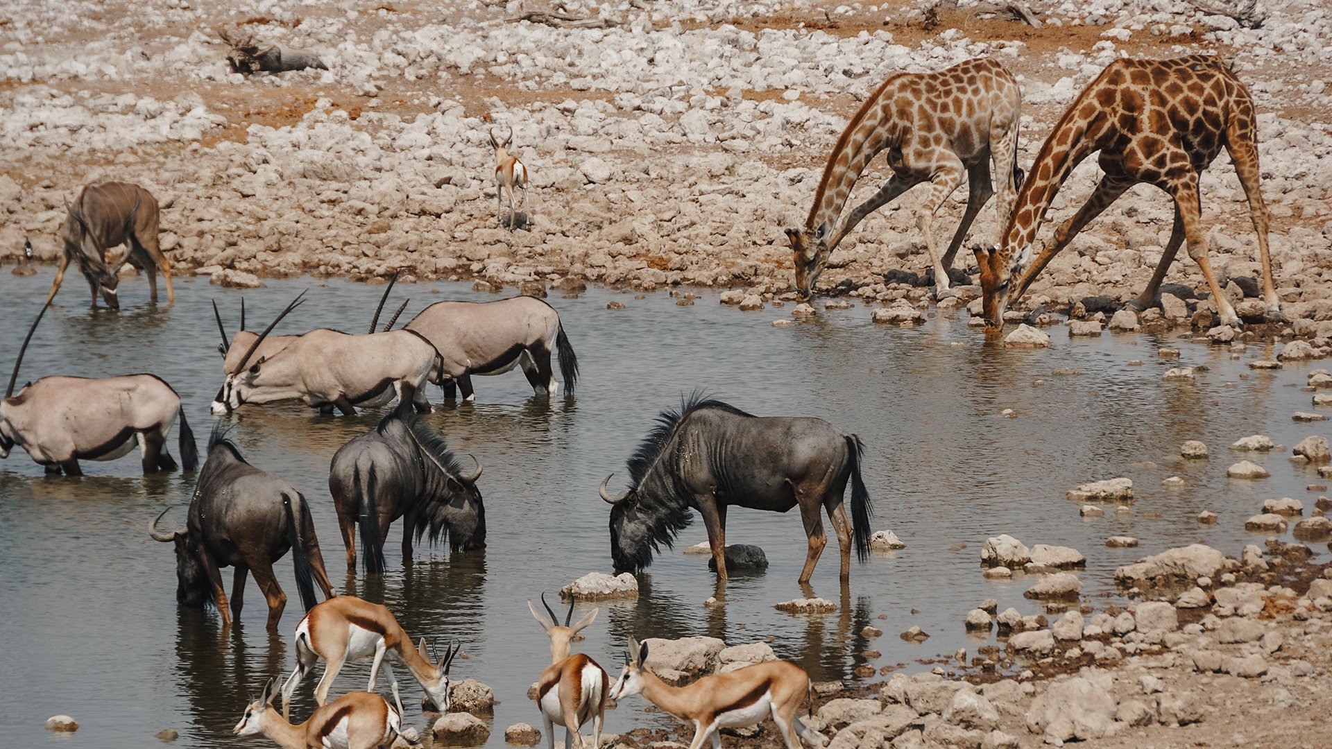22_03_2026 - Equilibri tra acqua e natura - MRSN