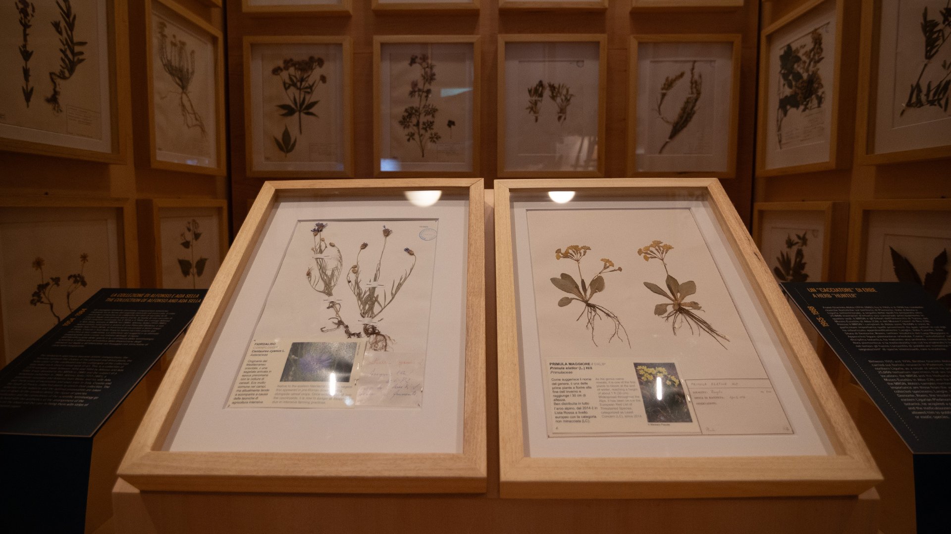 22_03_2026 - Visita guidata - MRSN