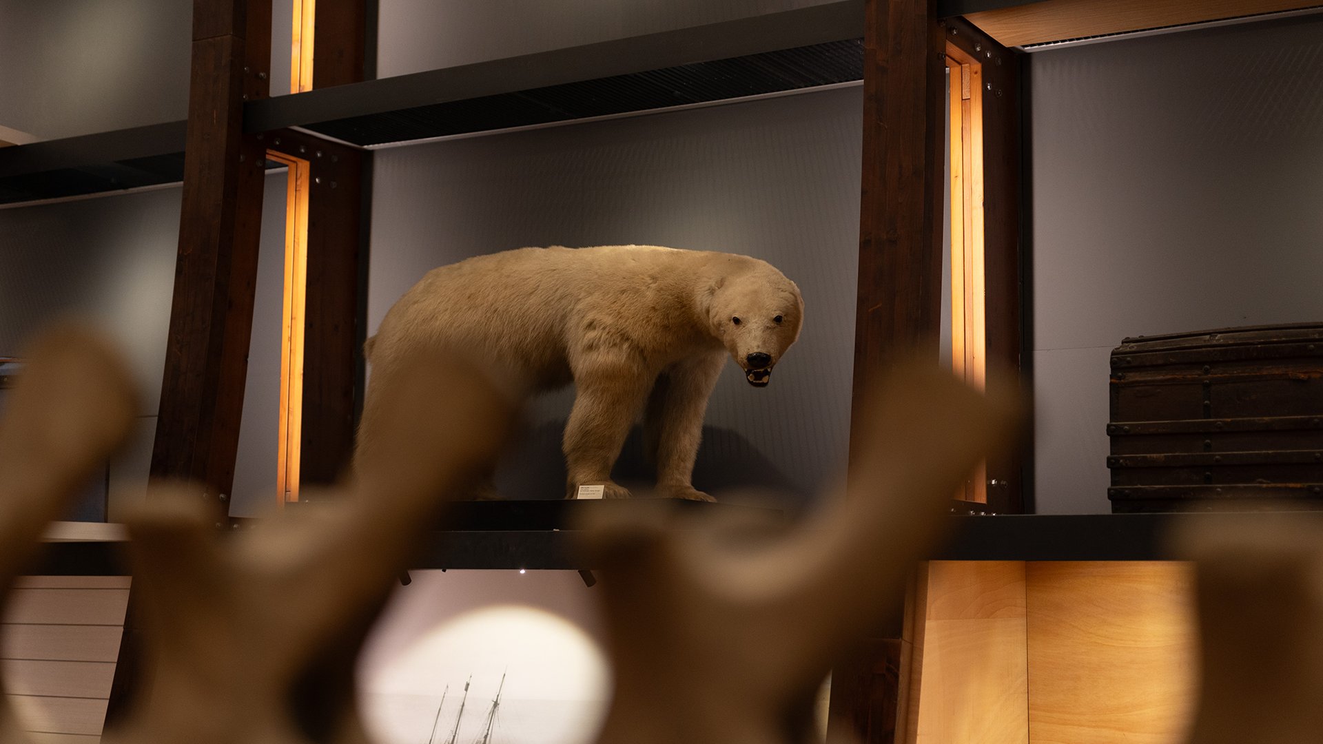 25_01_2026 - Visita guidata - MRSN