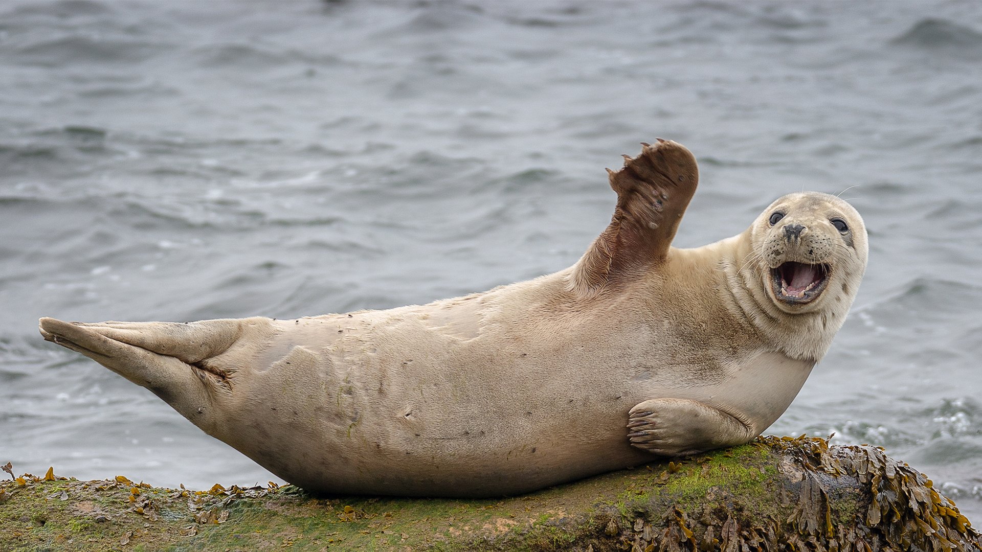 28_03_2026 - I suoni del Museo - MRSN