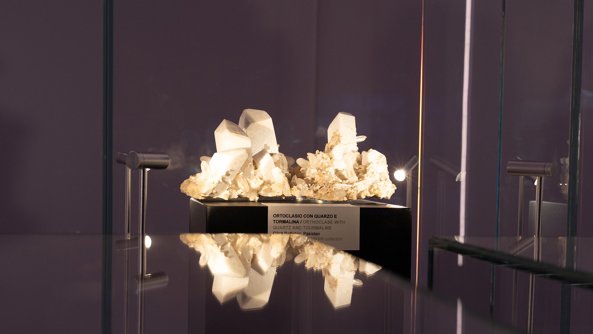 28_03_2026 - Visita guidata - MRSN