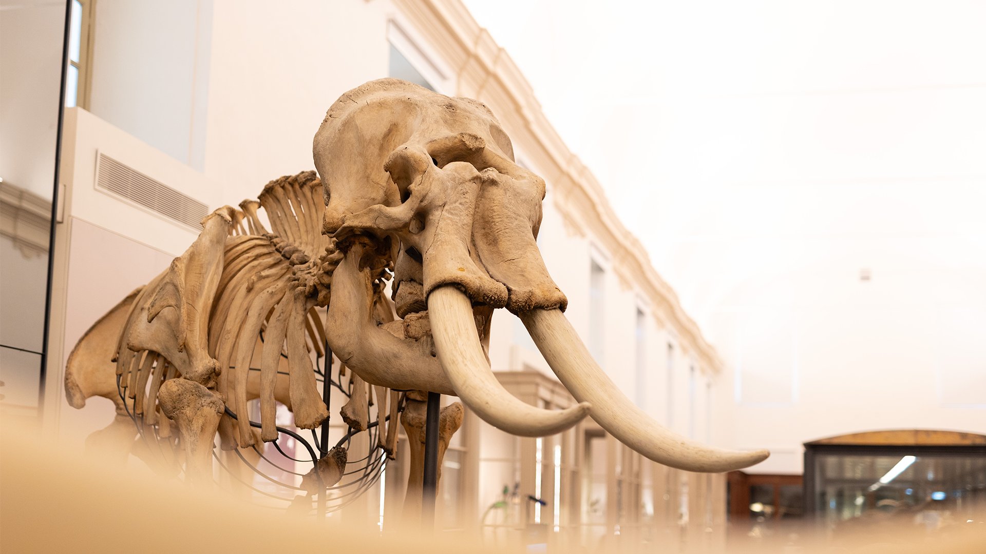 31_01_2025 - Visita guidata - MRSN