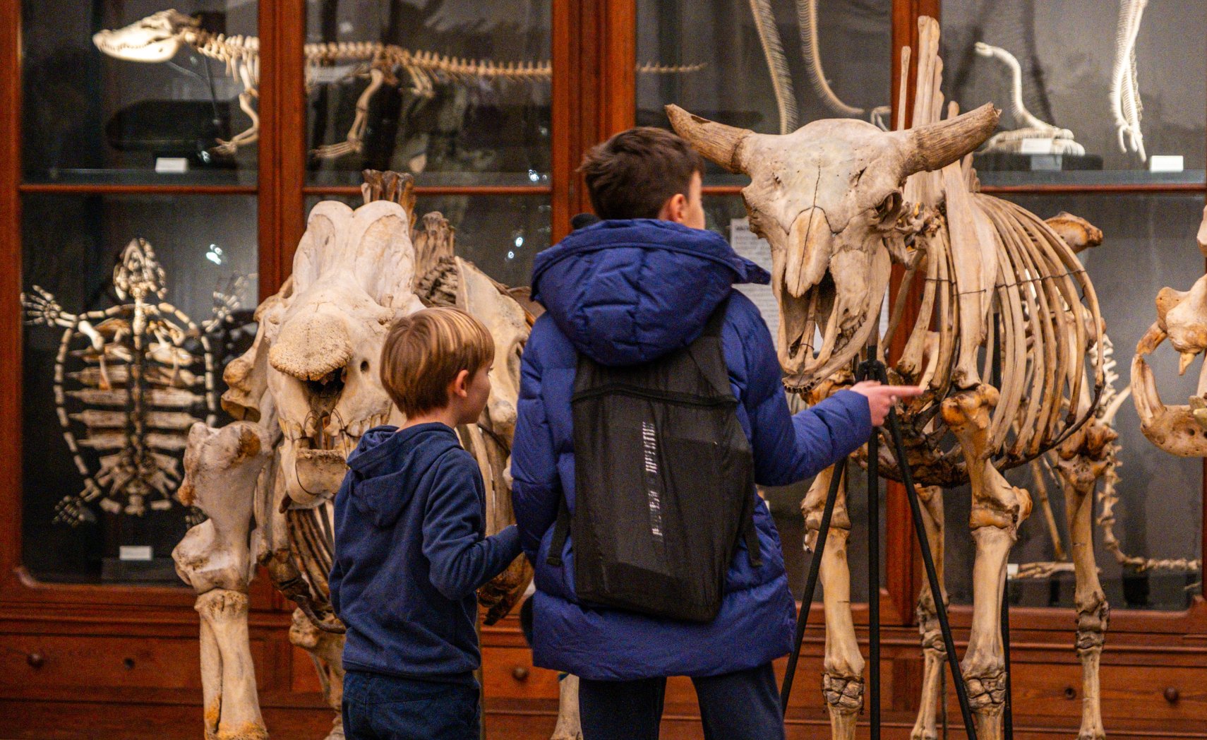 6._Credits__Mattia_Muscatello_-_Circolo_dei_let.original