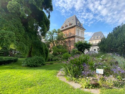 Alpineto con castello del Valentino. Orto Botanico di Torino. Foto di Loïc Maurice Mingozzi