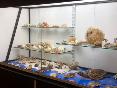 Ambienti acquatici