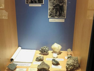 Campioni raccolti in Ossola da Angelo Bianchi e appartenuti alla sua collezione. Per concessione del Museo di Padova