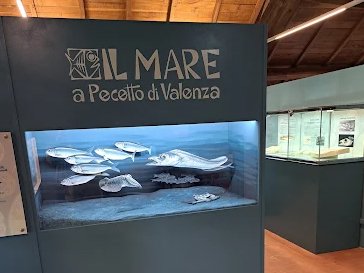 Ente di gestione delle Aree protette del Po piemontese. Centro visita. Centro Culturale Giuseppe Borsalino. Pecetto di Valenza (AL)