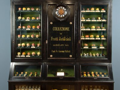 Collezione pomologica