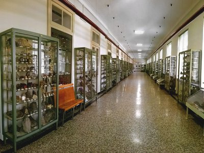 Corridoio dei minerali. III piano dell'Istituto. Foto di Gualtiero Accornero