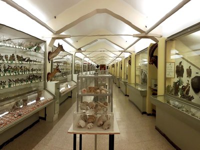 Corridoio di biologia. IV piano dell'Istituto. Foto di Gualtiero Accornero