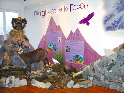 Diorama dell'alta montagna. Foto di Archivio Museo Tattile Trarego Viggiona