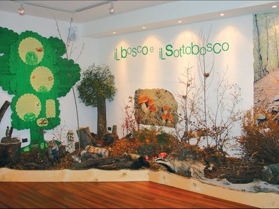 Diorama del bosco collinare. Foto di Archivio Museo Tattile Trarego Viggiona