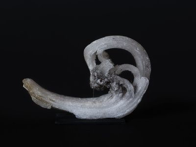 Gesso. Distretto di Sanata Eulalia, Chihuahua, Messico. Collezione Scotese. Foto di Francesca Marengo