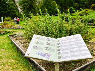 Centro visitatori: Giardino botanico alpino Paradisia. Cogne (AO). Foto di Giordano Olivero