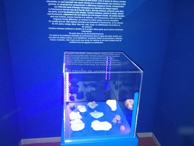 La vetrina dei minerali fluorescenti