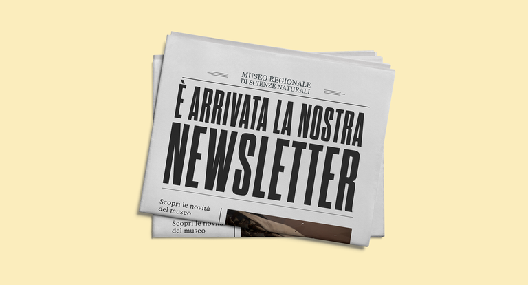 Newsletter_sito
