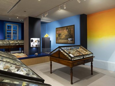 Particolare della Collezione mineralogica