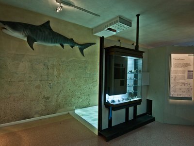 Particolare della Sezione paleontologica: ricostruzione interattiva del mare biellese