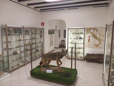 Prima sala: scienze della terra