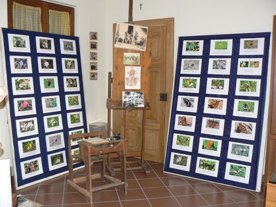 Sala delle ricerche. Collezione fotografica Mary Margaret Cassidy di fiori e farfalle diurne. Foto di Silvia Chersich