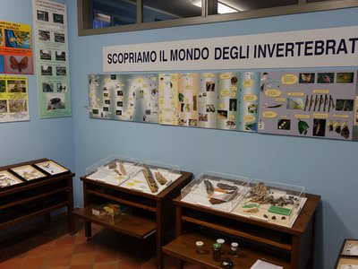 Sala entomologica