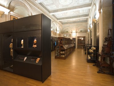 Salone centrale. Il mio museo