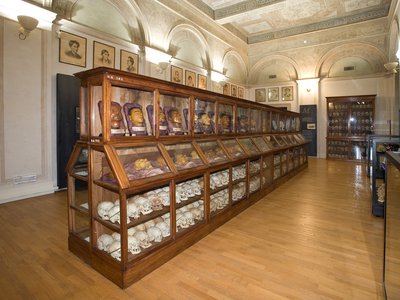 Salone centrale. Il mio museo
