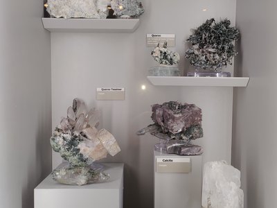 Sezione mineralogica