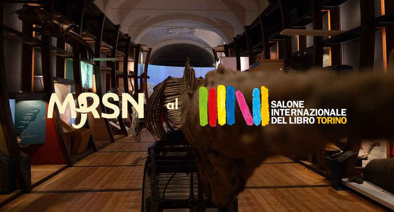 Sito_Salone del libro