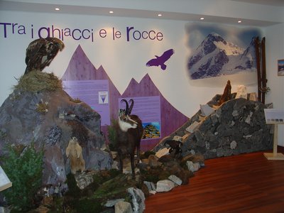 Diorama Tra i ghiacci e le rocce. Foto di Archivio Museo Tattile Trarego Viggiona