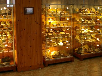 Vetrine espositive del Museo. Foto di Vittorio Pane