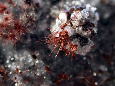 Tochilinite. Cristalli aciculari. Provenienza: seconda galleria traversa del piano inclinato che comunica con le gallerie Bracco Giorgio, Cava Grande Nuova. Foto di Silvio Bianco. Collezione Museo Traversella. Rinvenuto dal GMV