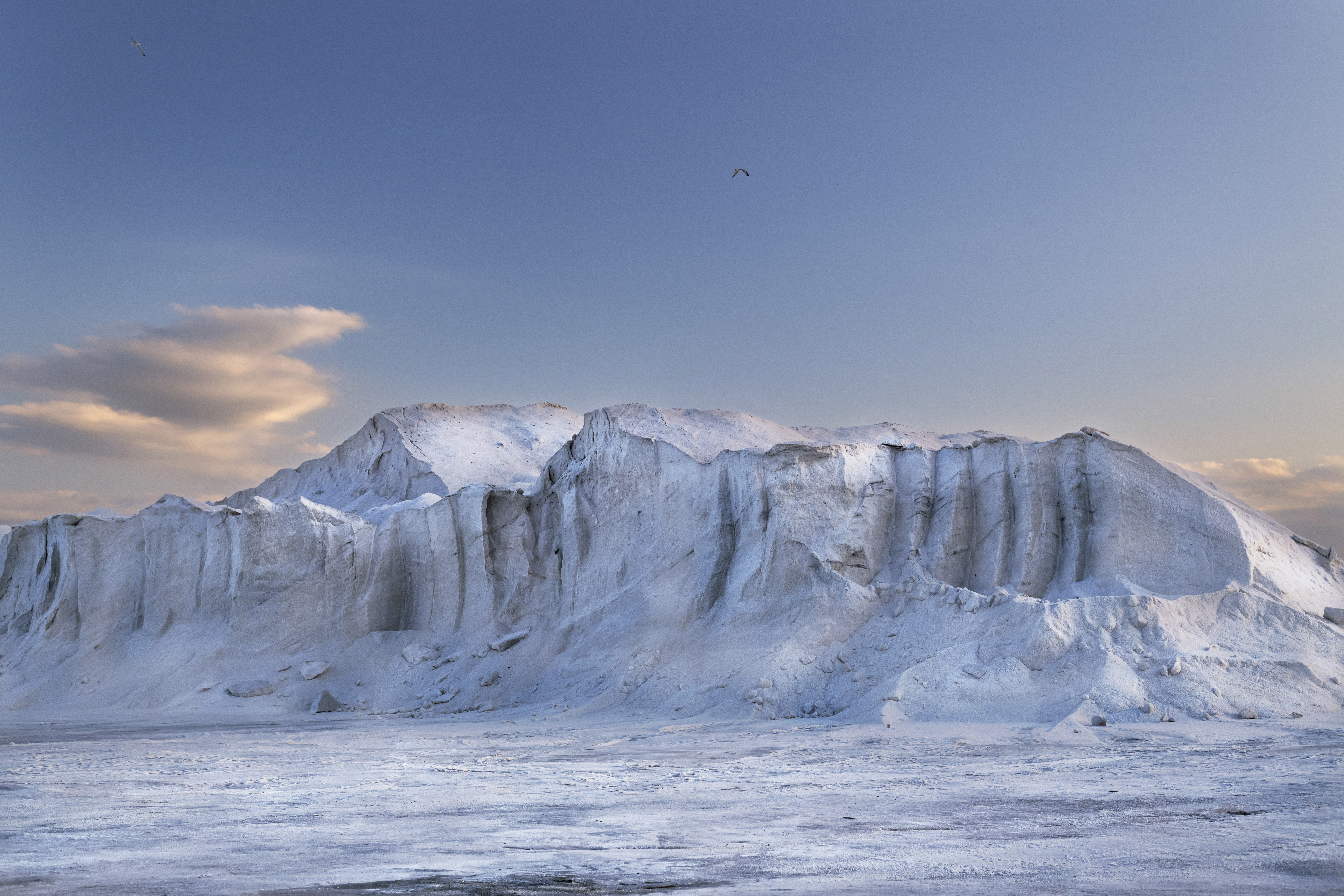 descrizione immagine