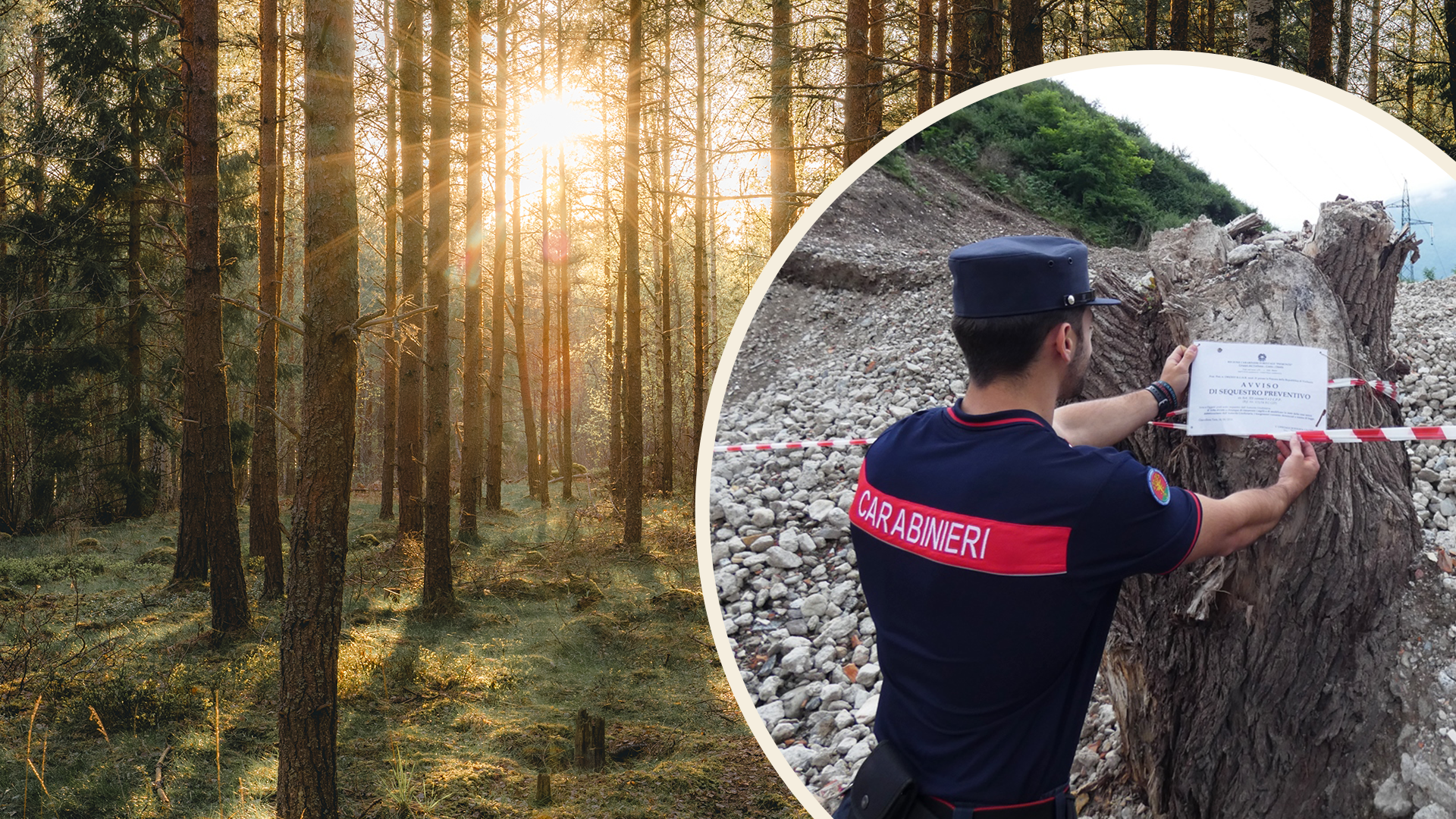 Conferenza stampa dei carabinieri forestale